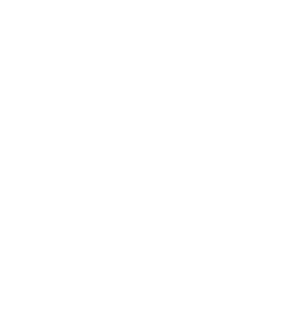 1200px-Air_Force_Falcons_logo_white