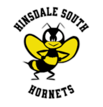 Hinsdale south hornets logo-1